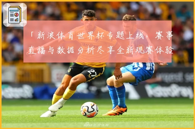 「新浪体育世界杯专题上线，赛事直播与数据分析尽享全新观赛体验」