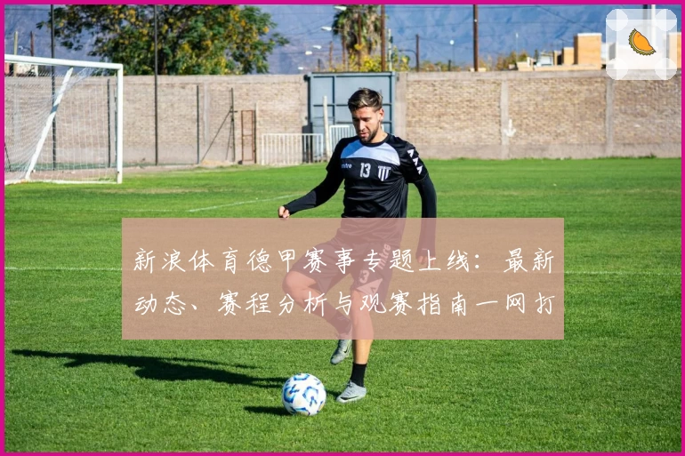 新浪体育德甲赛事专题上线：最新动态、赛程分析与观赛指南一网打尽