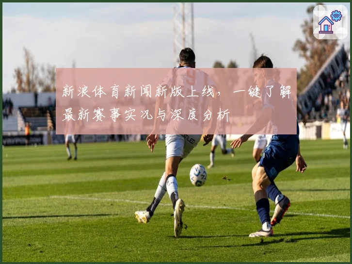 新浪体育新闻新版上线,一键了解最新赛事实况与深度分析