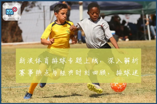 新浪体育排球专题上线，深入解析赛事热点与经典时刻回顾，排球迷必看