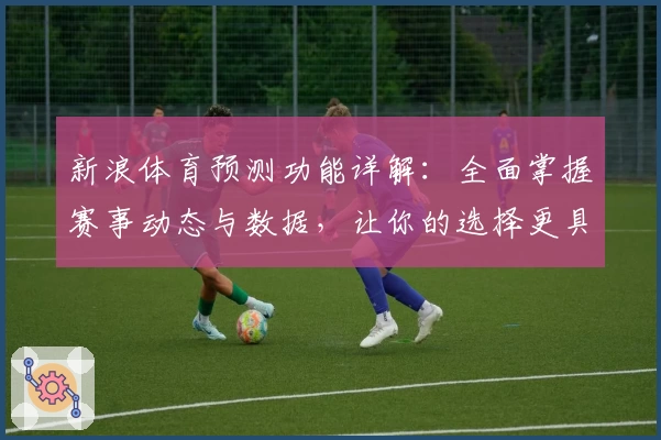 新浪体育预测功能详解：全面掌握赛事动态与数据，让你的选择更具智慧