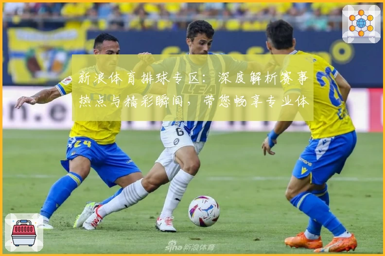新浪体育排球专区：深度解析赛事热点与精彩瞬间，带您畅享专业体育资讯