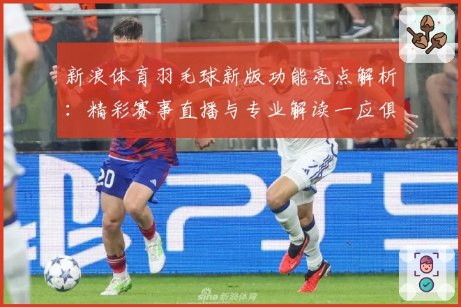 新浪体育羽毛球新版功能亮点解析：精彩赛事直播与专业解读一应俱全
