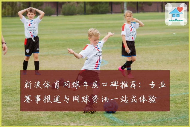 新浪体育网球年度口碑推荐：专业赛事报道与网球资讯一站式体验