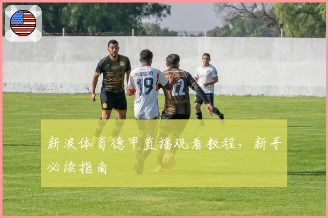 新浪体育德甲直播观看教程,新手必读指南