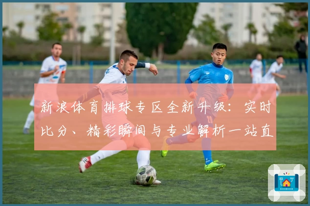 新浪体育排球专区全新升级：实时比分、精彩瞬间与专业解析一站直达