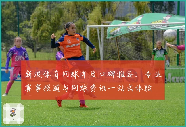 新浪体育网球年度口碑推荐：专业赛事报道与网球资讯一站式体验