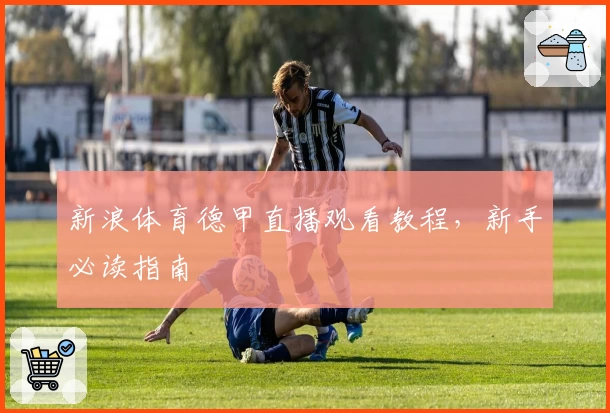 新浪体育德甲直播观看教程，新手必读指南