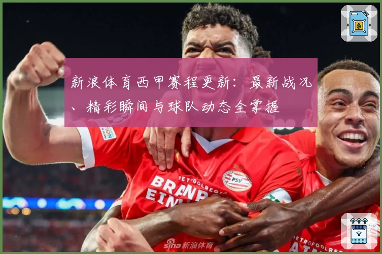 新浪体育西甲赛程更新：最新战况、精彩瞬间与球队动态全掌握